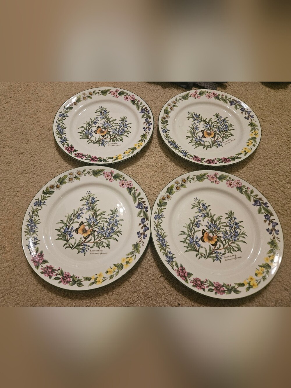 Set of 4 Royal Worcester Herbs Porcelain Rosemary Dinner Plates 10 1/8" Used. 